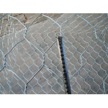 PVC revestido Holland soldado Wire Mesh